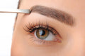 Brow Boost