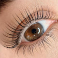 Korean Lashlift